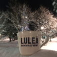 Lulea cup