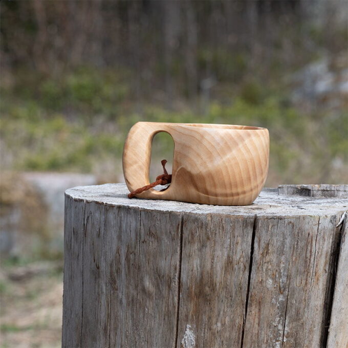 kasa_stor_V kasa_stor_V