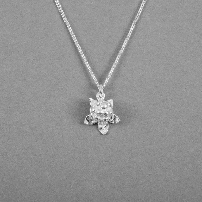 Hjortron - silverhalsband