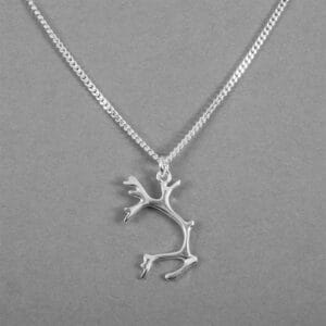Renhorn "Tjoarvve" Stor - Silverhalsband