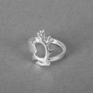 Lilla Renhornsringen Tjoarvve – Silverring