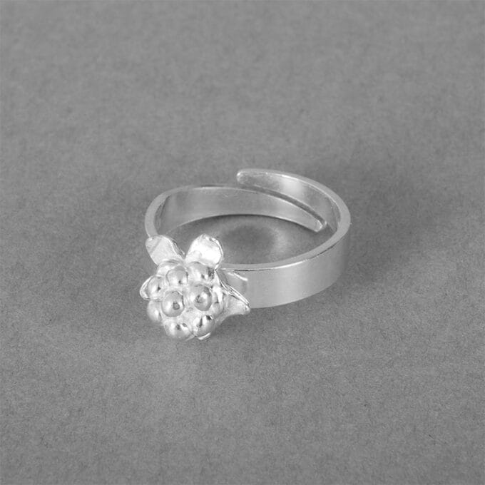 Hjortron – Silverring