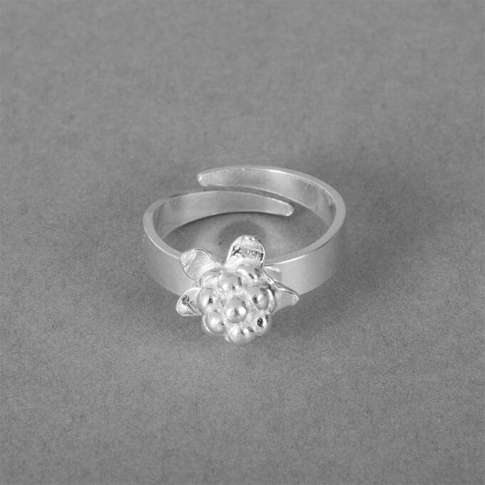 Deerthorn – Silver ring Hjortron – Silverring