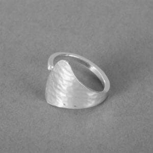 Stora Sjöfallet – Silverring