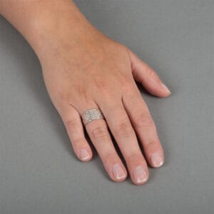 Ring Norrbotten_bred
