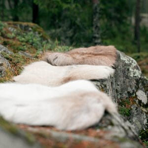 Seat cushion in Reindeer Skin Sittdyna i renskinn